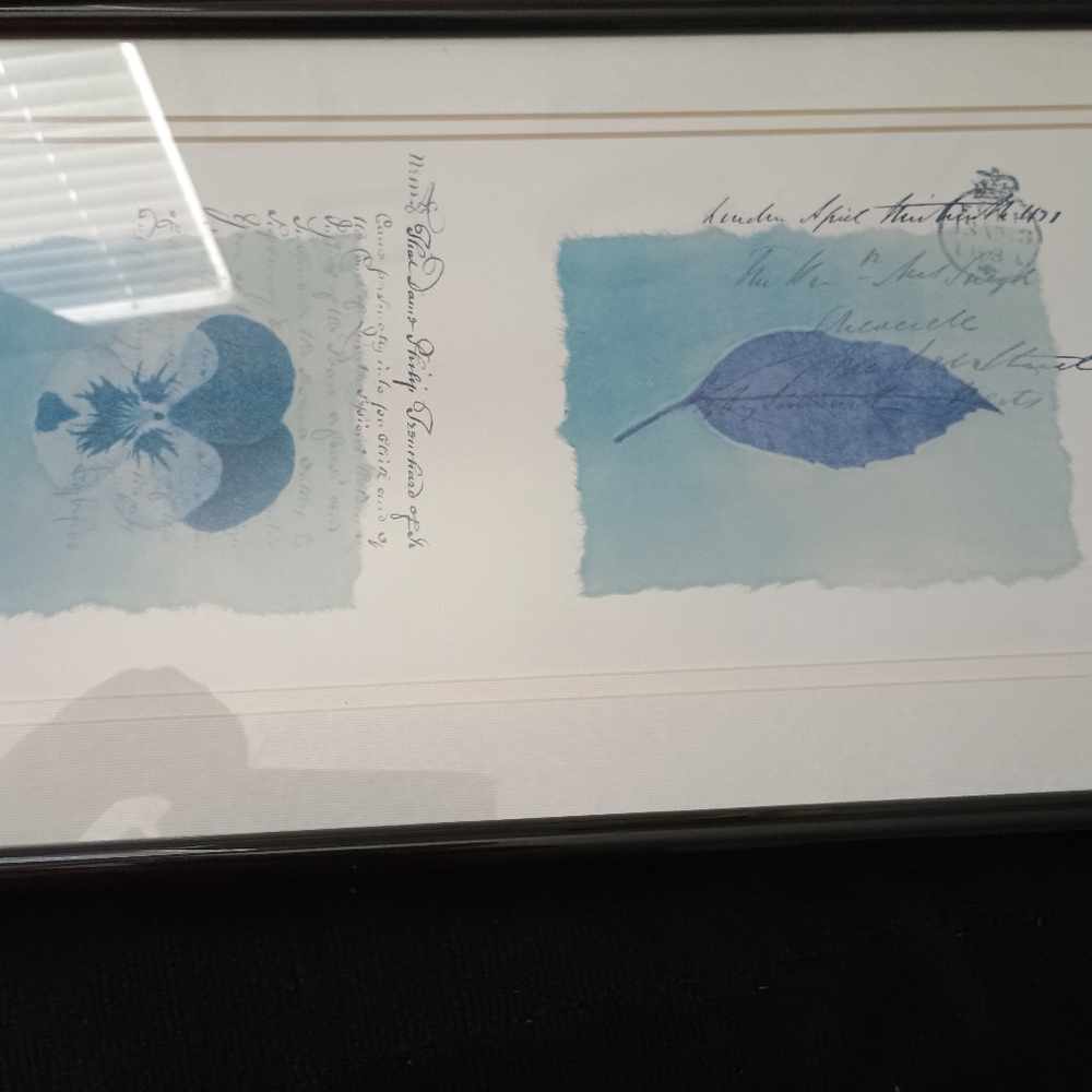 Framed Botanical Art Print